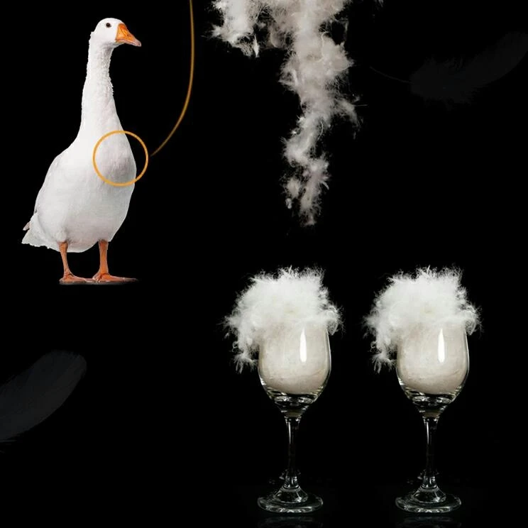 Duck Down Hotel Comforters suppliers