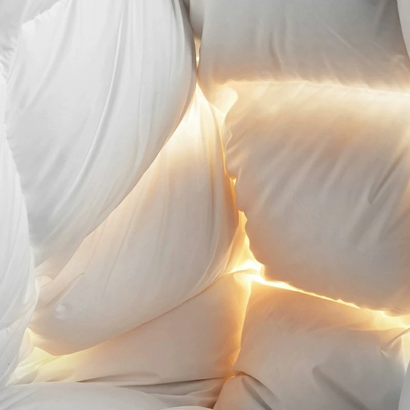 Goose Down Hotel Comforters high quality