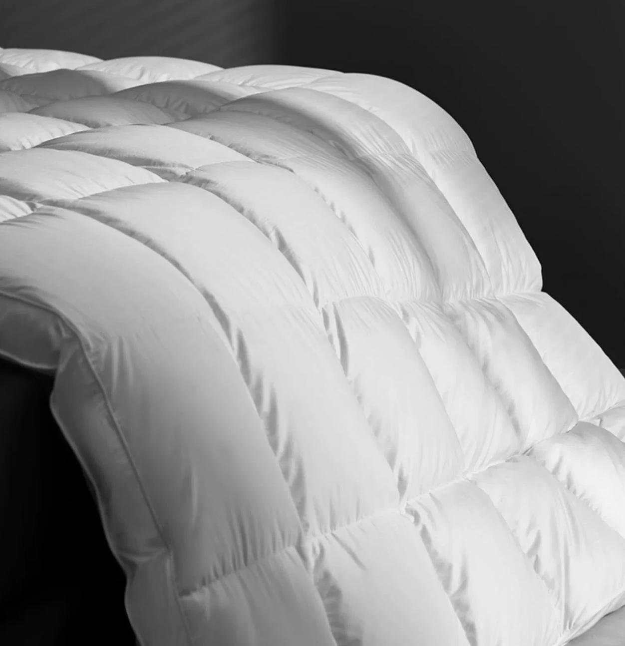 product-1252-1294 product-1252-1294